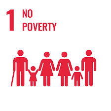 SDG 1